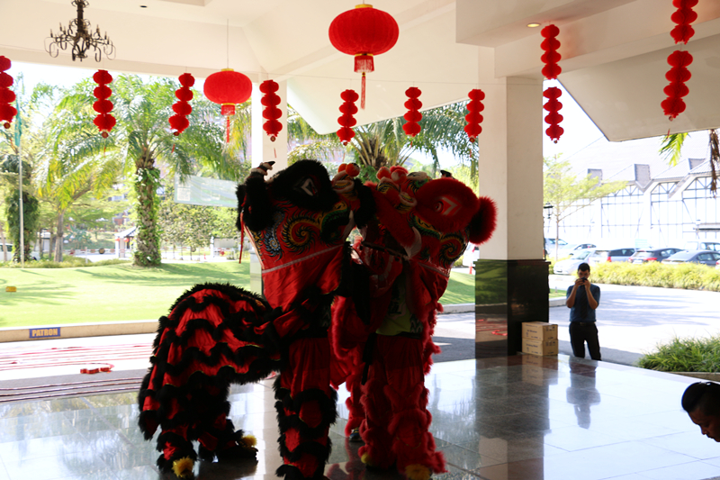 Chinese New Year Lion Dance 11