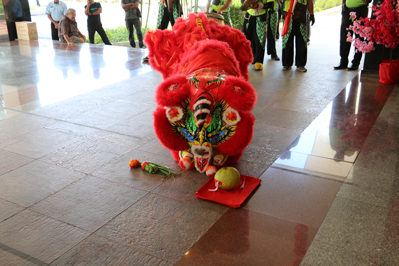 Chinese New Year Lion Dance 12