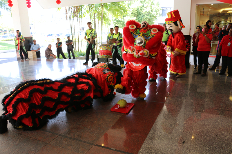 Chinese New Year Lion Dance 13