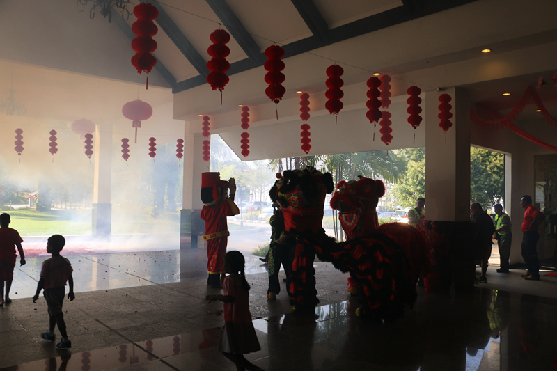 Chinese New Year Lion Dance 15