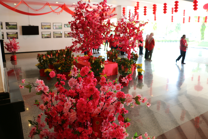 Chinese New Year Lion Dance 2