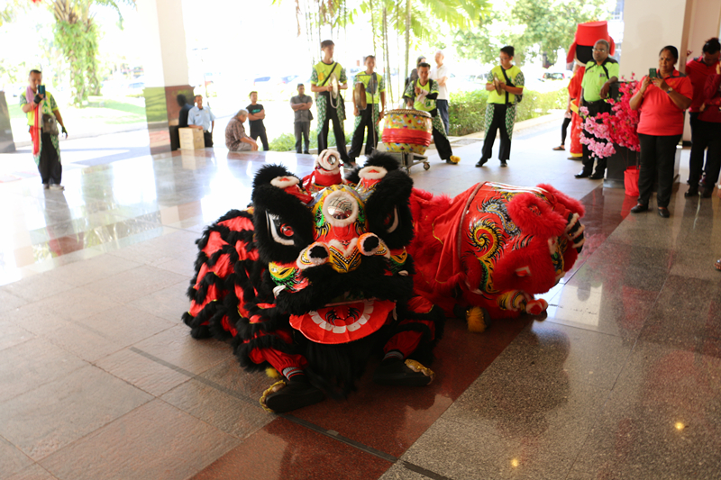 Chinese New Year Lion Dance 9