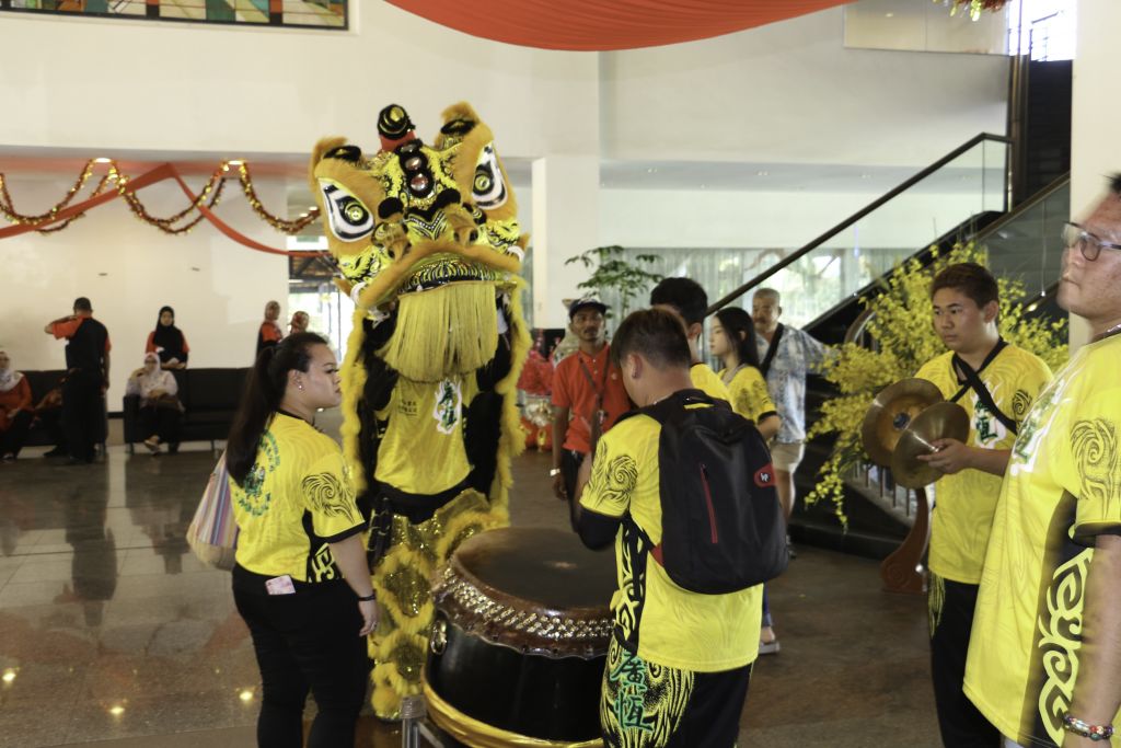 Chinese New Year Lion Dance 10